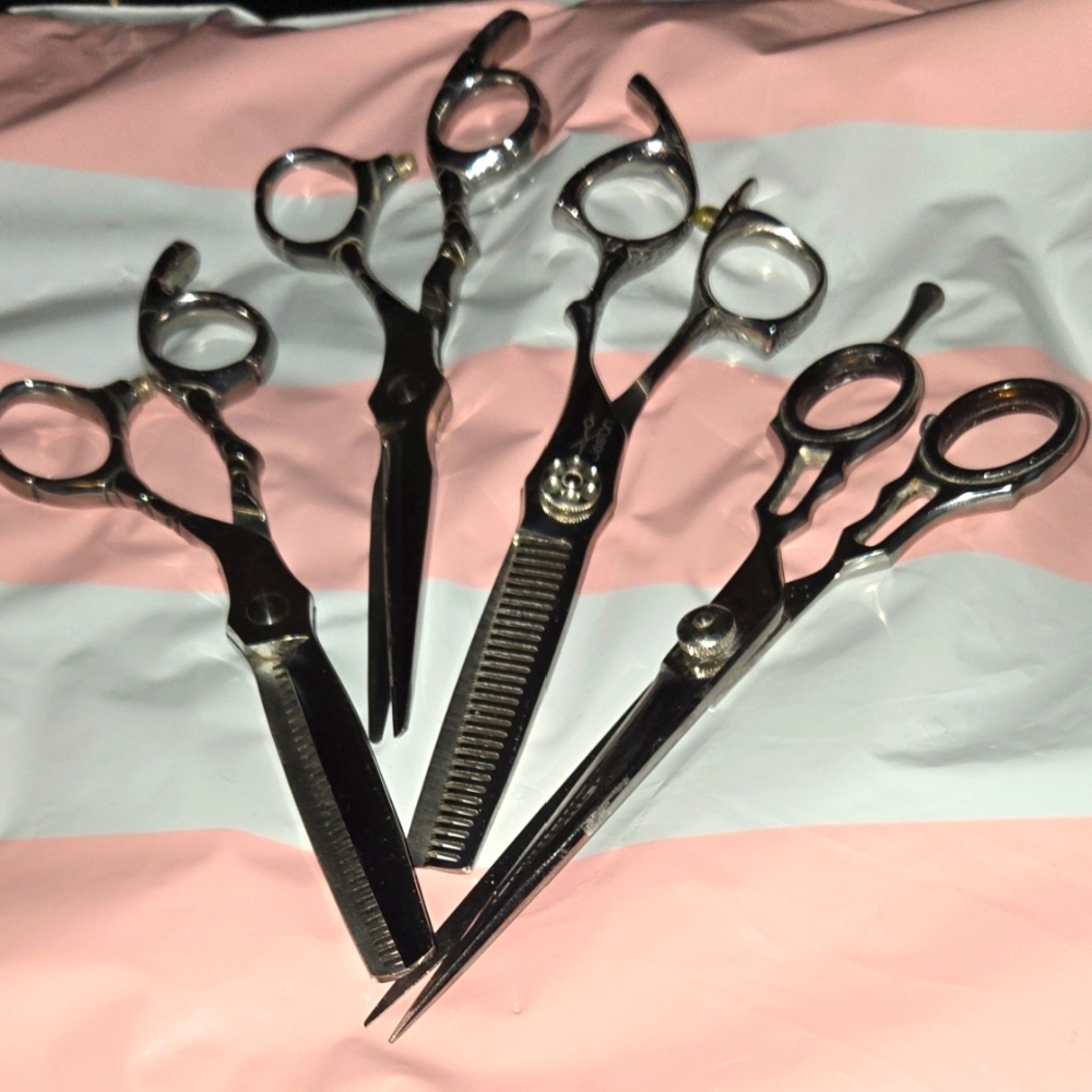 4 Pc.Bundle Professional Hair Cutting Shears and Thinning  Shears